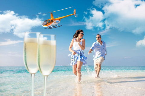 Private Coral Cay Bubbles Tour - Holiday Byron Bay 4