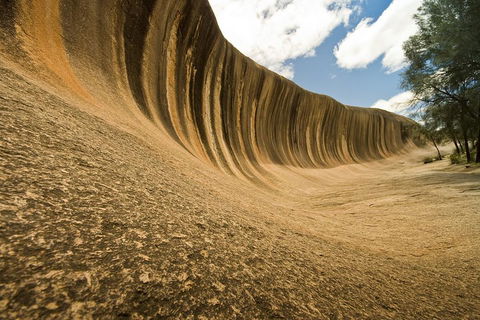 Wave Rock, York, Wildflowers, And Aboriginal Cultural Day Tour From Perth - Holiday Byron Bay 0