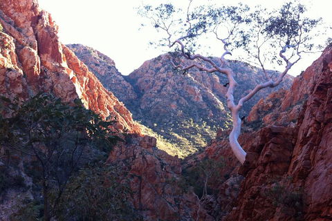 West MacDonnell Private Tour With Transfer - Holiday Byron Bay 3