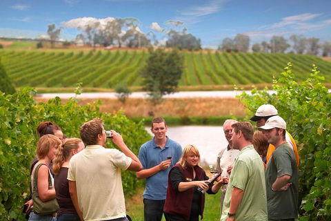 Yarra Valley Wine And Winery Tour From Melbourne - Holiday Byron Bay 0