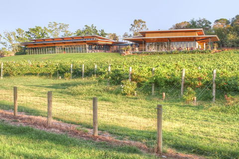 Yarra Valley Wine And Winery Tour From Melbourne - Holiday Byron Bay 1