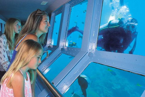 Helicopter And Cruise Packages From Port Douglas - Holiday Byron Bay 0