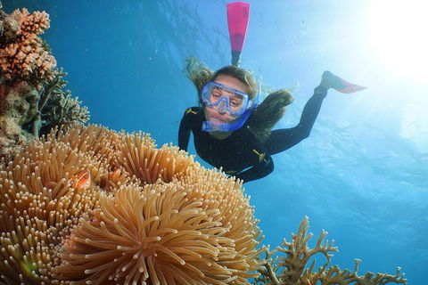 Helicopter And Cruise Packages From Port Douglas - Holiday Byron Bay 3