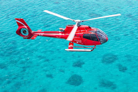 Helicopter And Cruise Packages From Port Douglas - Holiday Byron Bay 5