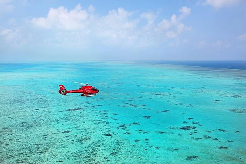 Ultimate Great Barrier Reef And Rainforest 45-minute Helicopter Tour - Holiday Byron Bay 2