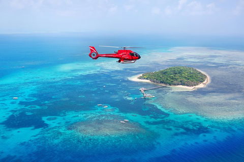 Ultimate Great Barrier Reef And Rainforest 45-minute Helicopter Tour - Holiday Byron Bay 4