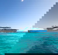 Fremantle to Rottnest Island Roundtrip Ferry Ticket - Holiday Byron Bay
