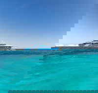 Rottnest Island Bayseeker Day Trip from Perth - Holiday Byron Bay