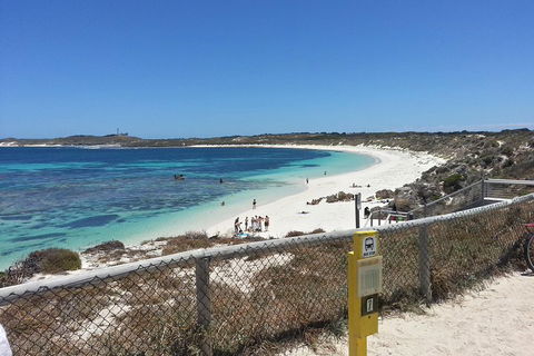 Wave Rock, Pinnacles And Rottnest One Day Aeroplane Tour - Holiday Byron Bay 2