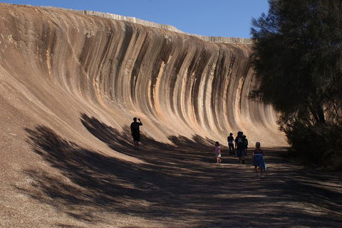 Wave Rock, Pinnacles And Rottnest One Day Aeroplane Tour - Holiday Byron Bay 4