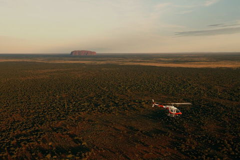 Helicopter Scenic: Lizard Safari - Holiday Byron Bay 4