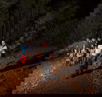 Alice Springs Desert Park Nocturnal Tour - Holiday Byron Bay