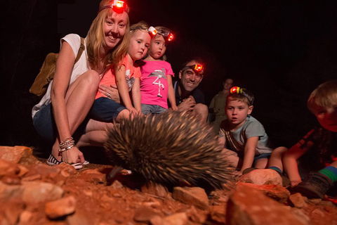 Alice Springs Desert Park Nocturnal Tour - Holiday Byron Bay 5