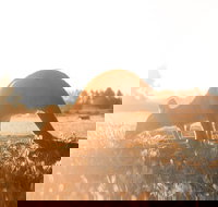 Small Group - 12 Apostles Otways  Great Ocean Road Day Tour from Melbourne