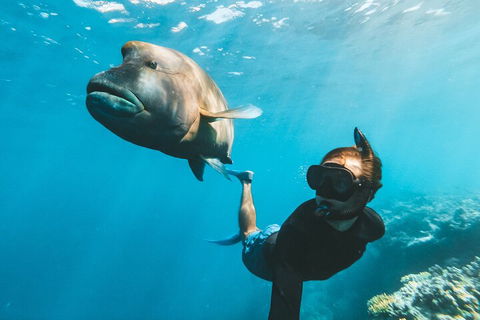 Great Barrier Reef Day Cruise To Reefworld - Holiday Byron Bay 3