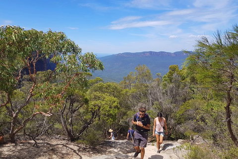Blue Mountains Unique Small-Group Day Adventure With BBQ Lunch - Holiday Byron Bay 3