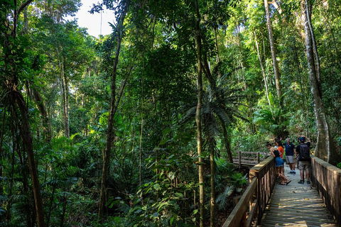 Full Day Daintree Rainforest And Mossman Gorge Tour - Holiday Byron Bay 5