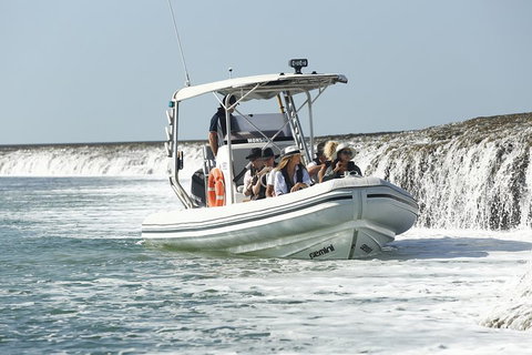 Cygnet Bay Explorer - Holiday Byron Bay 2