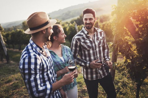 Full Day Mount Tamborine Winery Tour From Gold Coast - Holiday Byron Bay 5