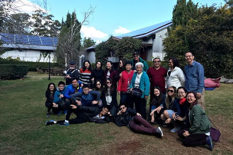 Full Day Mount Tamborine Winery Tour From Brisbane - Holiday Byron Bay 2