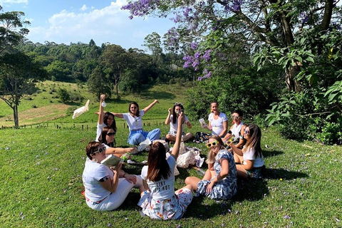 Full Day Mount Tamborine Winery Tour From Brisbane - Holiday Byron Bay 4