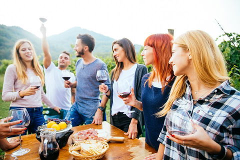 Full Day Mount Tamborine Winery Tour From Brisbane - Holiday Byron Bay 5
