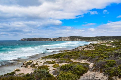Kangaroo Island Luxury Small Group 'East End Explorer' Full Day Tour - Holiday Byron Bay 0