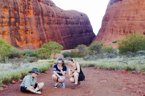 Afternoon Kata Tjuta Small Group Tour - Holiday Byron Bay 2