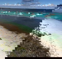 Experience Rottnest with Ferry  Bike Hire from Perth or Fremantle - Holiday Byron Bay