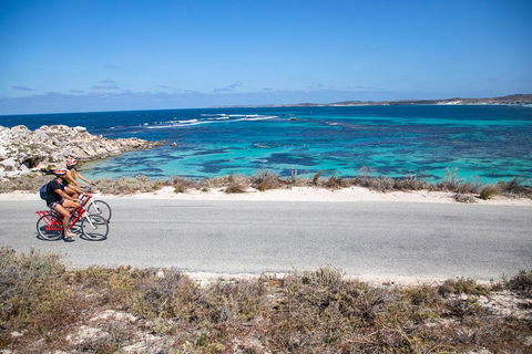 Experience Rottnest With Ferry & Bike Hire From Perth Or Fremantle - Holiday Byron Bay 2