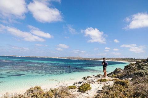 Experience Rottnest With Ferry & Bike Hire From Perth Or Fremantle - Holiday Byron Bay 3