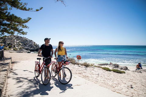 Experience Rottnest With Ferry & Bike Hire From Perth Or Fremantle - Holiday Byron Bay 4