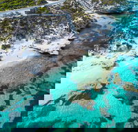 Rottnest Island Round-Trip Ferry from Perth or Fremantle - Holiday Byron Bay