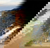 Melbourne Super Saver Great Ocean Road  Phillip Island  Attraction Pass