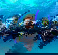 Great Barrier Reef Diving and Snorkeling Cruise from Cairns - Holiday Byron Bay