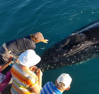 AOC Whale Watching from Broome - Holiday Byron Bay