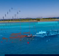 Ocean Free Green Island  Great Barrier Reef Snorkel Cruise Cairns 25 guests - Holiday Byron Bay