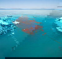Ocean Freedom Great Barrier Reef Personal Luxury Snorkel  Dive Cruise Cairns - Holiday Byron Bay