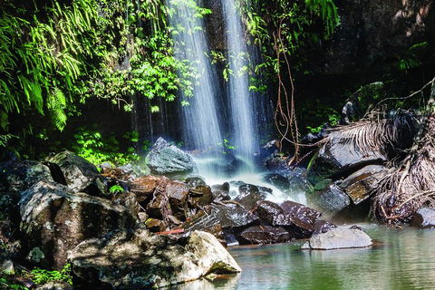 Full Day Small Group Luxury Tour To Tamborine Mountain - Holiday Byron Bay 0