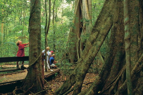 Full Day Small Group Luxury Tour To Tamborine Mountain - Holiday Byron Bay 1