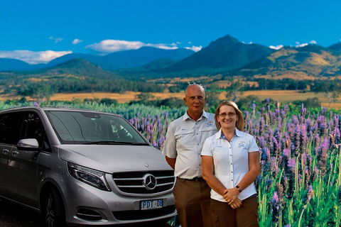 Full Day Small Group Luxury Tour To Tamborine Mountain - Holiday Byron Bay 3