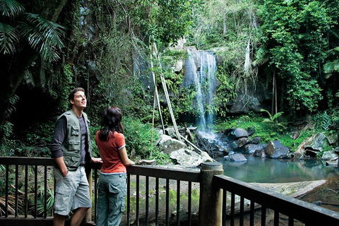 Full Day Small Group Luxury Tour To Tamborine Mountain - Holiday Byron Bay 4