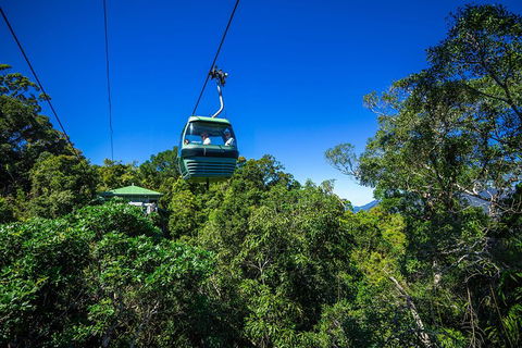 Classic Kuranda By Skyrail And Scenic Railway Including Rainforestation, Koala And Wildlife Park And Pamagirri Aboriginal Experi - Holiday Byron Bay 0