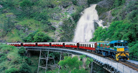 Classic Kuranda By Skyrail And Scenic Railway Including Rainforestation, Koala And Wildlife Park And Pamagirri Aboriginal Experi - Holiday Byron Bay 1