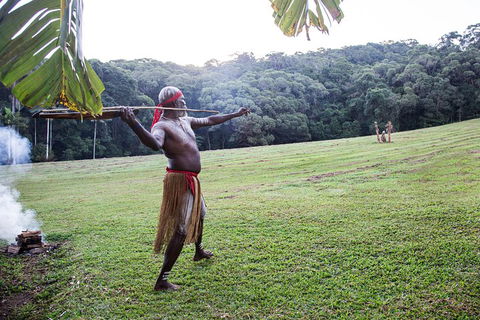 Classic Kuranda By Skyrail And Scenic Railway Including Rainforestation, Koala And Wildlife Park And Pamagirri Aboriginal Experi - Holiday Byron Bay 5