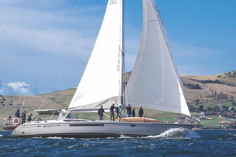Half-Day Sailing On The Derwent River From Hobart - Holiday Byron Bay 1