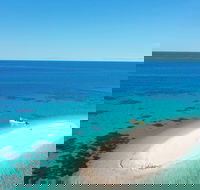 Ocean Safari Great Barrier Reef Experience in Cape Tribulation - Holiday Byron Bay