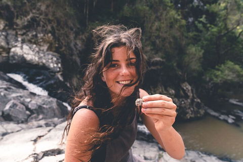 Springbrook AndTamborine Rainforest Tour Incl Natural Bridge And Glow Worm Cave - Holiday Byron Bay 1