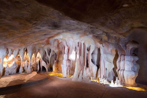 Springbrook AndTamborine Rainforest Tour Incl Natural Bridge And Glow Worm Cave - Holiday Byron Bay 4