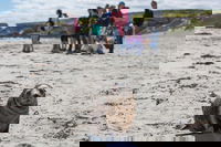 Book Viator Accommodation Vacations Holiday Byron Bay Holiday Byron Bay